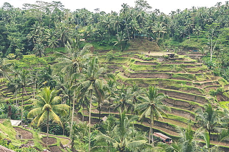 food, landscape, nature, water thumbnail