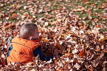 Child Playing In Fall Leaves Photo thumbnail