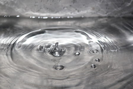macro photography of water drop thumbnail