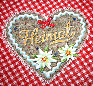 white flowers illustration with text overlay thumbnail