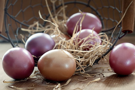 several organic eggs near black metal fruit basket thumbnail