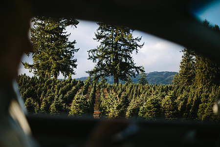 Riding a car thumbnail