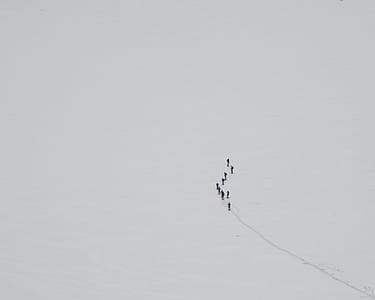 people walking on snow covered ground thumbnail