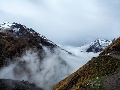 green mountain with fog thumbnail