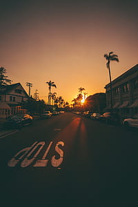 white and brown houses during sunset thumbnail