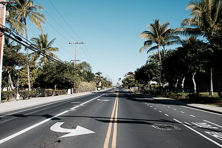 photo of concrete road beside palm tree thumbnail