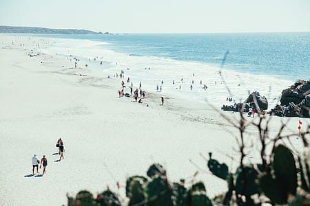 People walking on the beach in sunshine thumbnail