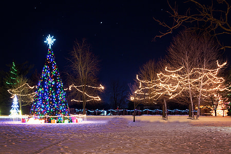 Neon Christmas Tree and Lights and Decorations thumbnail