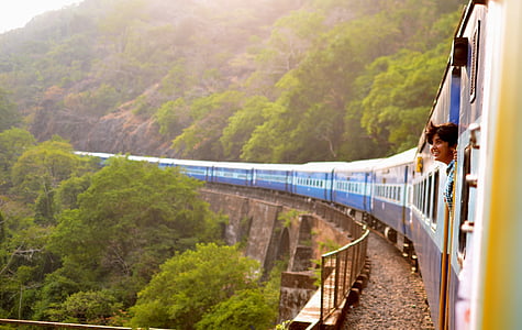 blue and gray train surrounded by plants thumbnail