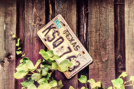 white license plate on wooden plank thumbnail