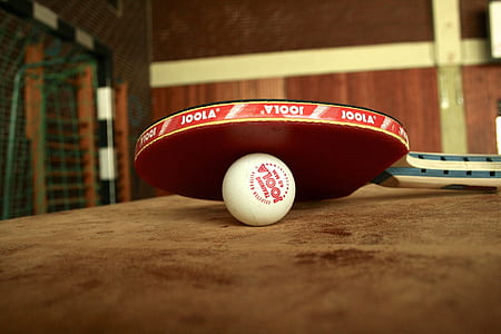 white ping pong ball on top of paddle thumbnail