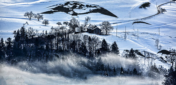 snow-covered field and trees painting thumbnail