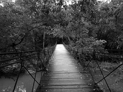 grayscale photography of bridge near tree thumbnail