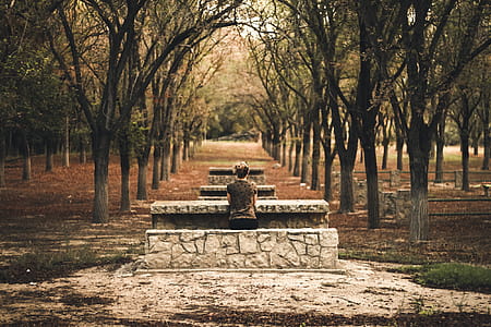 Person Sitting on Stone Bench thumbnail