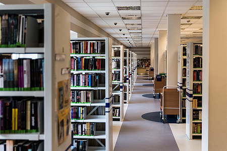 library, book, reading, education, knowledge, rent thumbnail