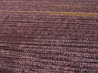 Yamada'S Rice Fields, Winter thumbnail