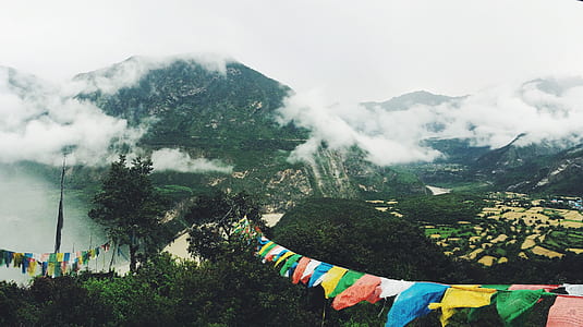 photo of assorted-color pennants near forest during daytime thumbnail
