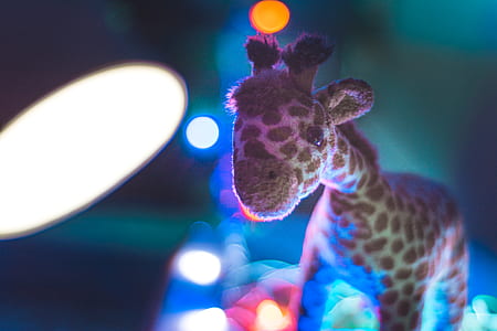 Giraffe Plush Toy Close Up Photo thumbnail