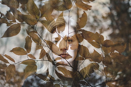 illusion photo of woman's face and green leaves thumbnail