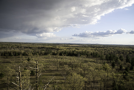 Trees over the landscape from Quincy Bluff, Wisconsin with clouds thumbnail