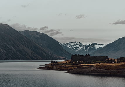 tall trees in front of mountains thumbnail