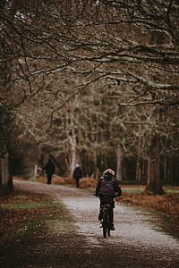 shallow focus photo of person riding bicycle thumbnail