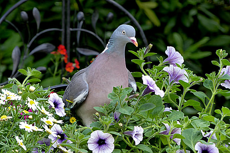 bird perching on plant ] thumbnail