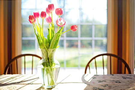 pink flowers on clear glass vase thumbnail
