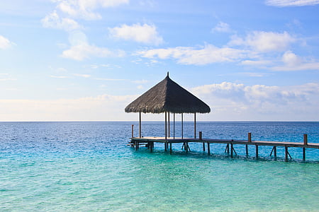 brown dock above body of water thumbnail