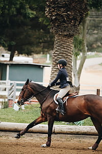 Woman Wearing Helmet Riding Horse thumbnail