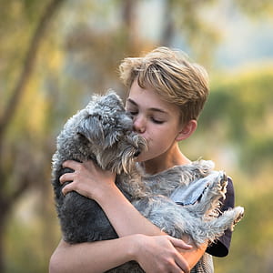 boy in black shirt holding gray dog thumbnail