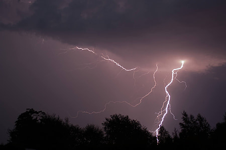 lightning struck on trees thumbnail