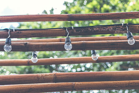 closeup photo of string lights on bamboo thumbnail