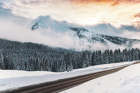 fog-covered mountain during daytime thumbnail