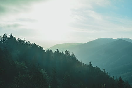 silhouette of trees in mountain slope during daytime thumbnail