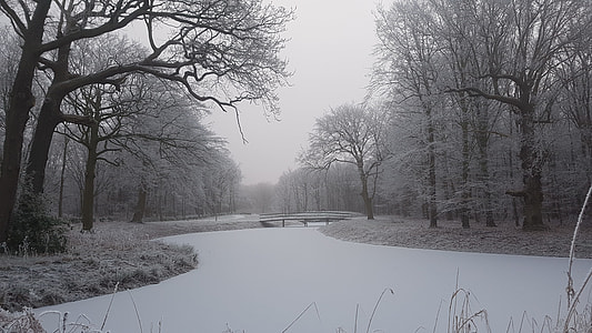 body of water in the middle of forest during winter thumbnail