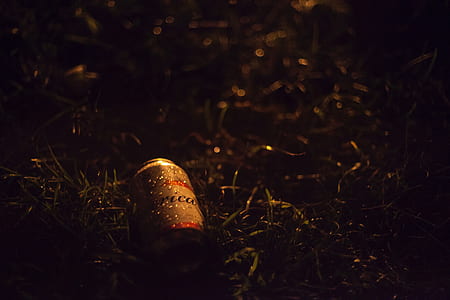 beer can on green grass thumbnail