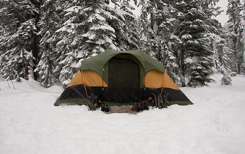 green, black, and orange tent thumbnail