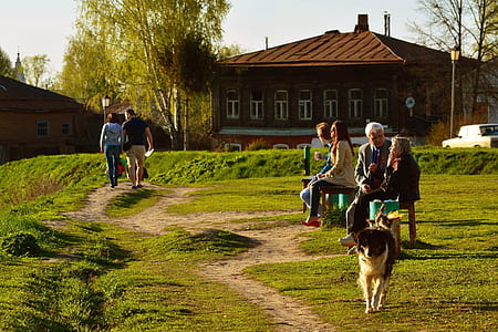 people sitting and walking on park thumbnail