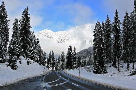 snowy mountain and forest under clear sky during daytime thumbnail