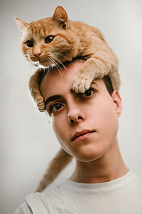 orange tabby cat on man's head in white crew-neck top thumbnail