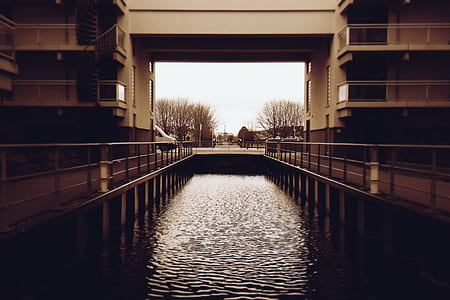 light, city, sunset, water thumbnail