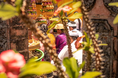 People Sitting Near Fruit Arrangement thumbnail