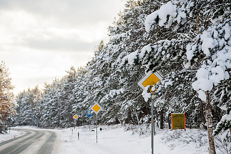 Winter road with yellow signs thumbnail