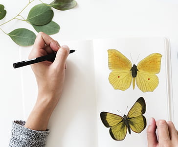 person drawing yellow butterflies thumbnail