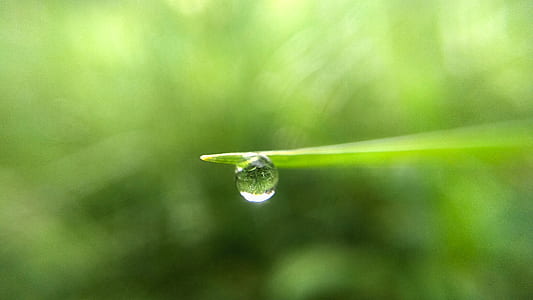 Water Drop On Green Leaf thumbnail