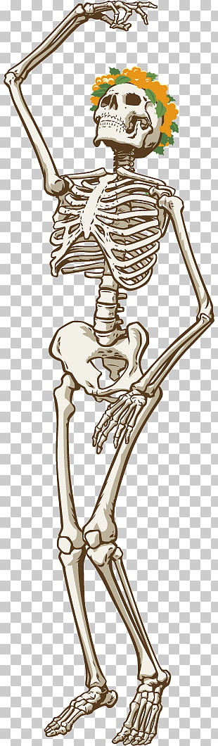 Uncle Sam Skeleton Grateful Dead Costume Uncle Sam Hat Png