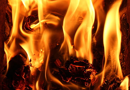 close-up photo of fire thumbnail