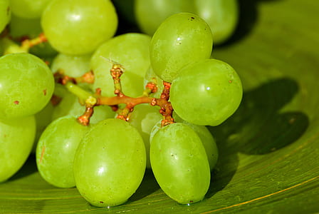 bunch of white grapes thumbnail