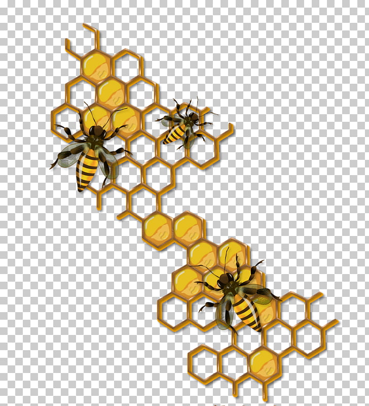 Honey Bee Hornet Beehive Cartoon Bee Three Honeybees Illustration Png Clipart Free Cliparts Uihere